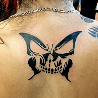 Butterflies Cover.fw